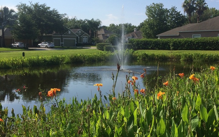 Community Pond and Fountain in Westfield Lakes