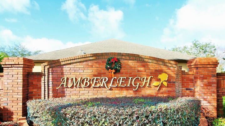 Homes For Rent in Amberleigh Winter Garden FL