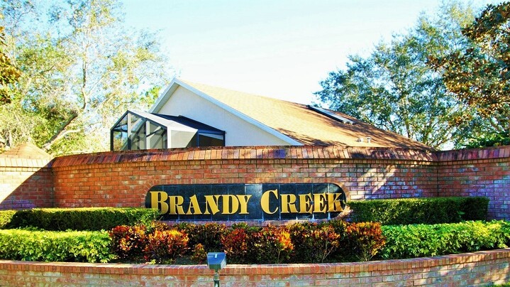 Homes For Rent in Brandy Creek Winter Garden FL