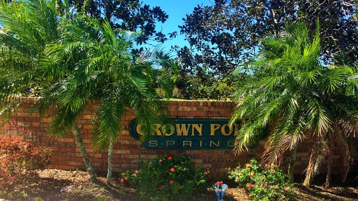 Homes For Rent in Crown Point Springs Winter Garden FL