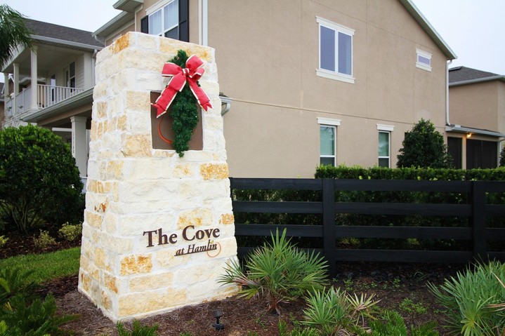 Homes For Rent in The Cove at Hamlin Winter Garden FL
