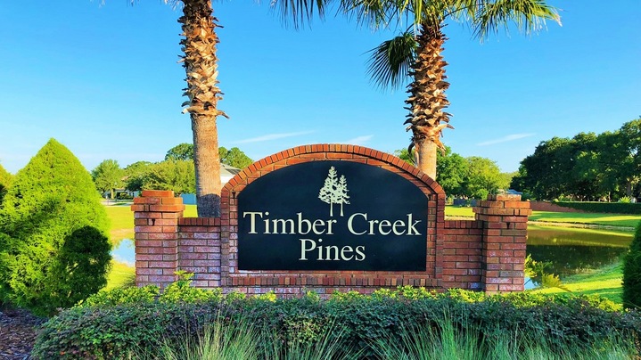 Homes For Rent in Timber Creek Pines Winter Garden FL