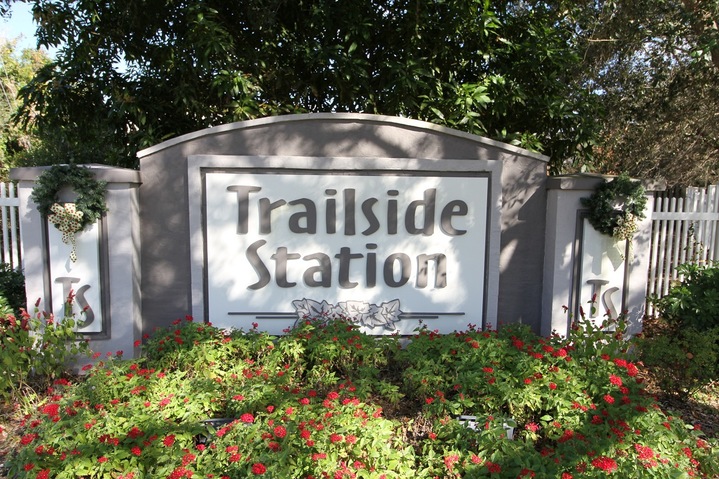 Homes For Rent in Trailside Station Winter Garden FL
