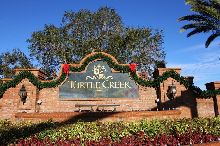 Homes For Rent in Turtle Creek Orlando FL
